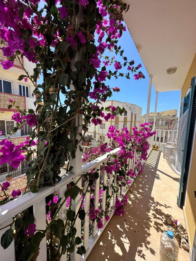 B&B Mi Ma Bo, Sal Rei, Boa Vista, Cape Verde, Free Wi-Fi Экстерьер фото