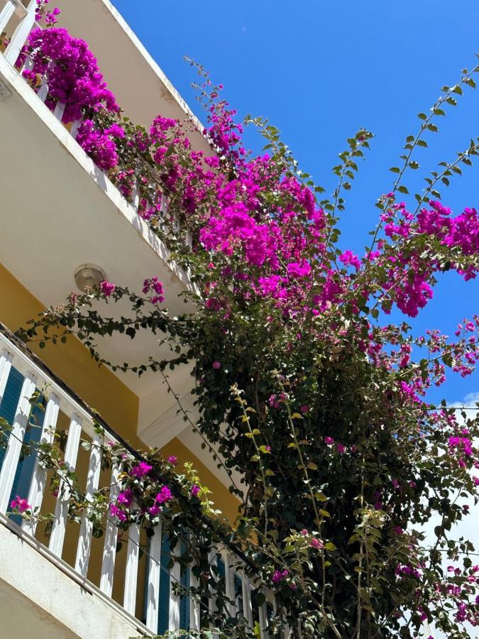 B&B Mi Ma Bo, Sal Rei, Boa Vista, Cape Verde, Free Wi-Fi Экстерьер фото