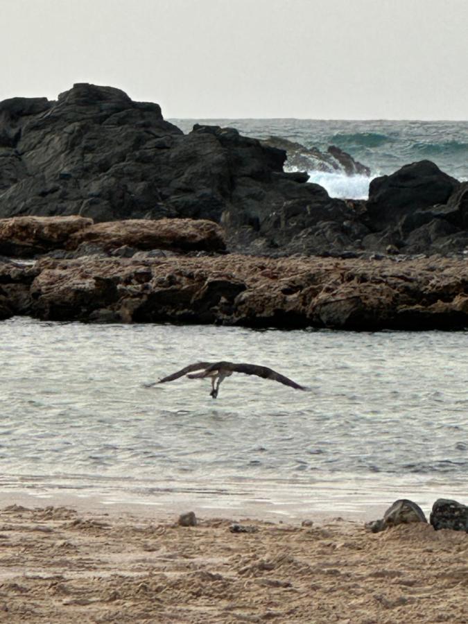 B&B Mi Ma Bo, Sal Rei, Boa Vista, Cape Verde, Free Wi-Fi Экстерьер фото