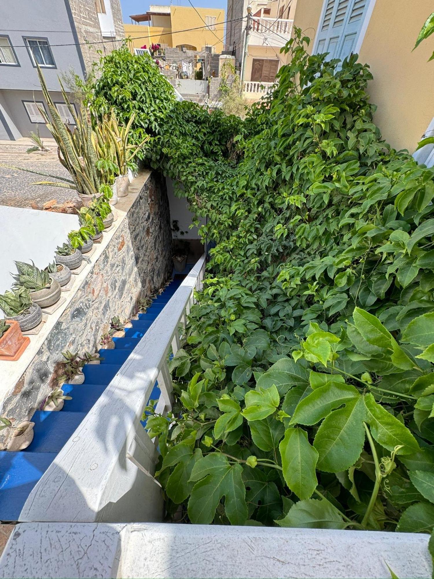 B&B Mi Ma Bo, Sal Rei, Boa Vista, Cape Verde, Free Wi-Fi Экстерьер фото